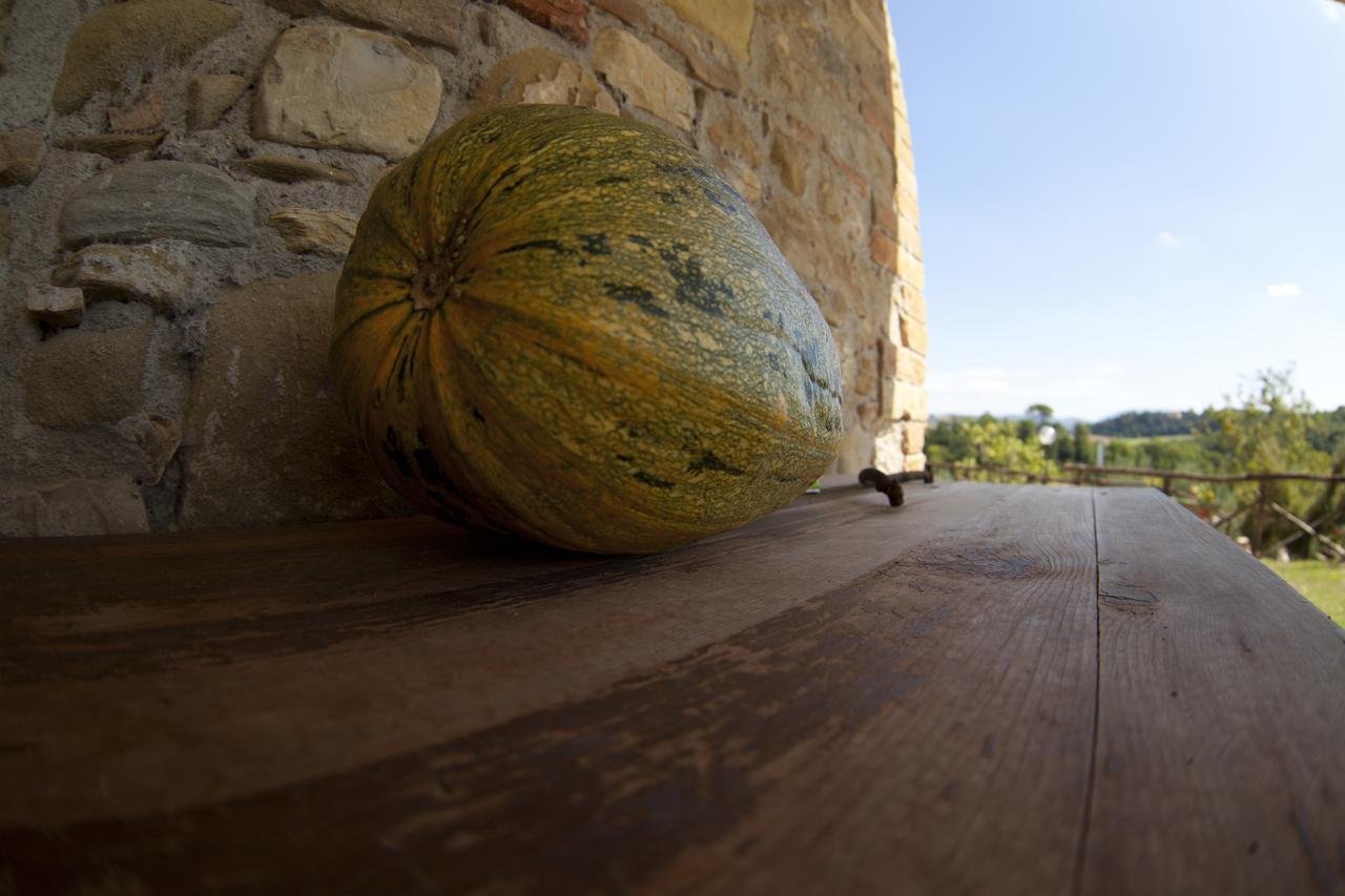 Agriturismo San Fedele Перуджа Екстер'єр фото
